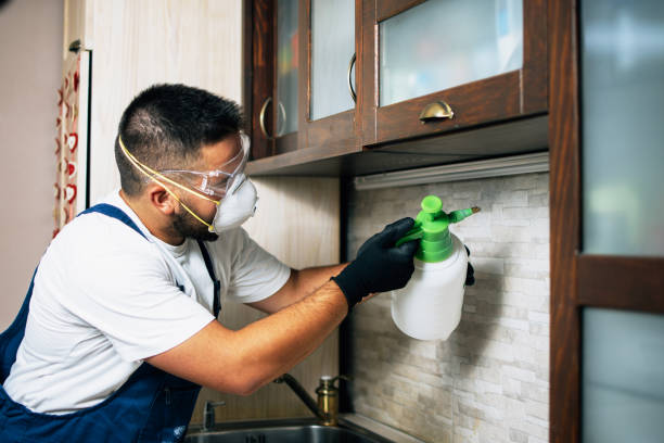 Best Affordable Pest Control Services  in Santa Teresa, NM
