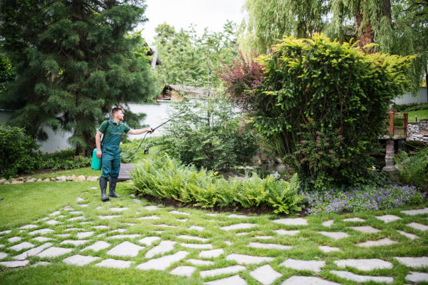 Best Local Pest Control Services  in Santa Teresa, NM