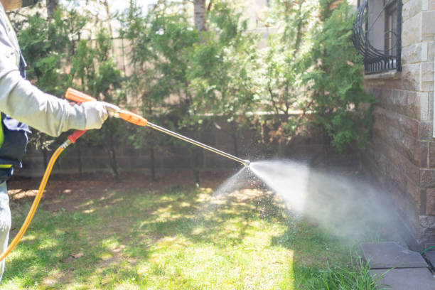 Best Emergency Pest Control  in Santa Teresa, NM