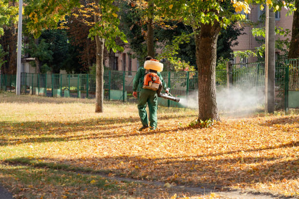 Best Mosquito Control Services  in Santa Teresa, NM