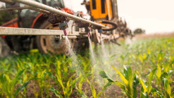 Best Commercial Pest Control Services  in Santa Teresa, NM